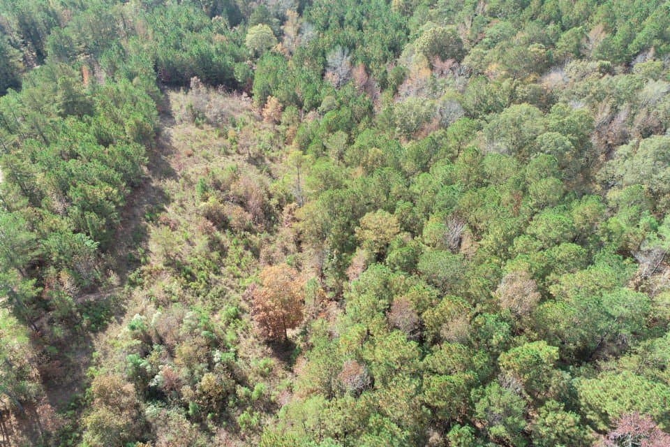 Homesite and Hunting Property - land for sale