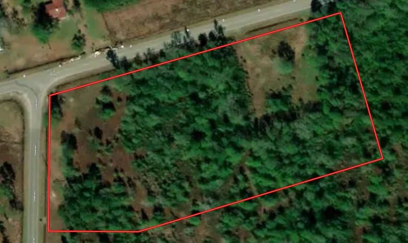 4.5+/- Acre Corner Lot For Sale in Pender County NC!