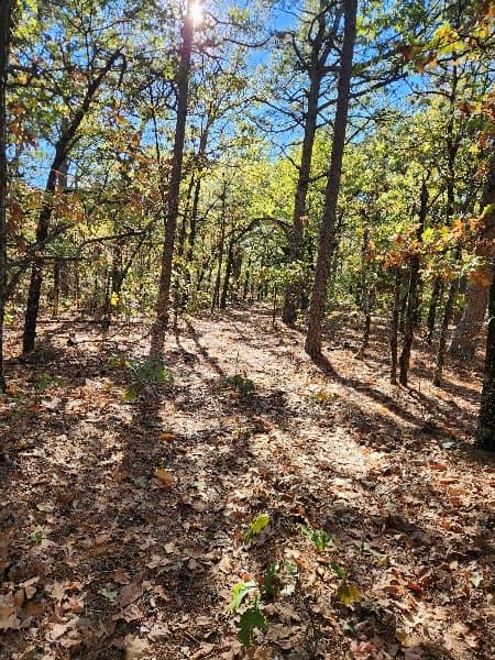 Hunting, Mountains & Timberland