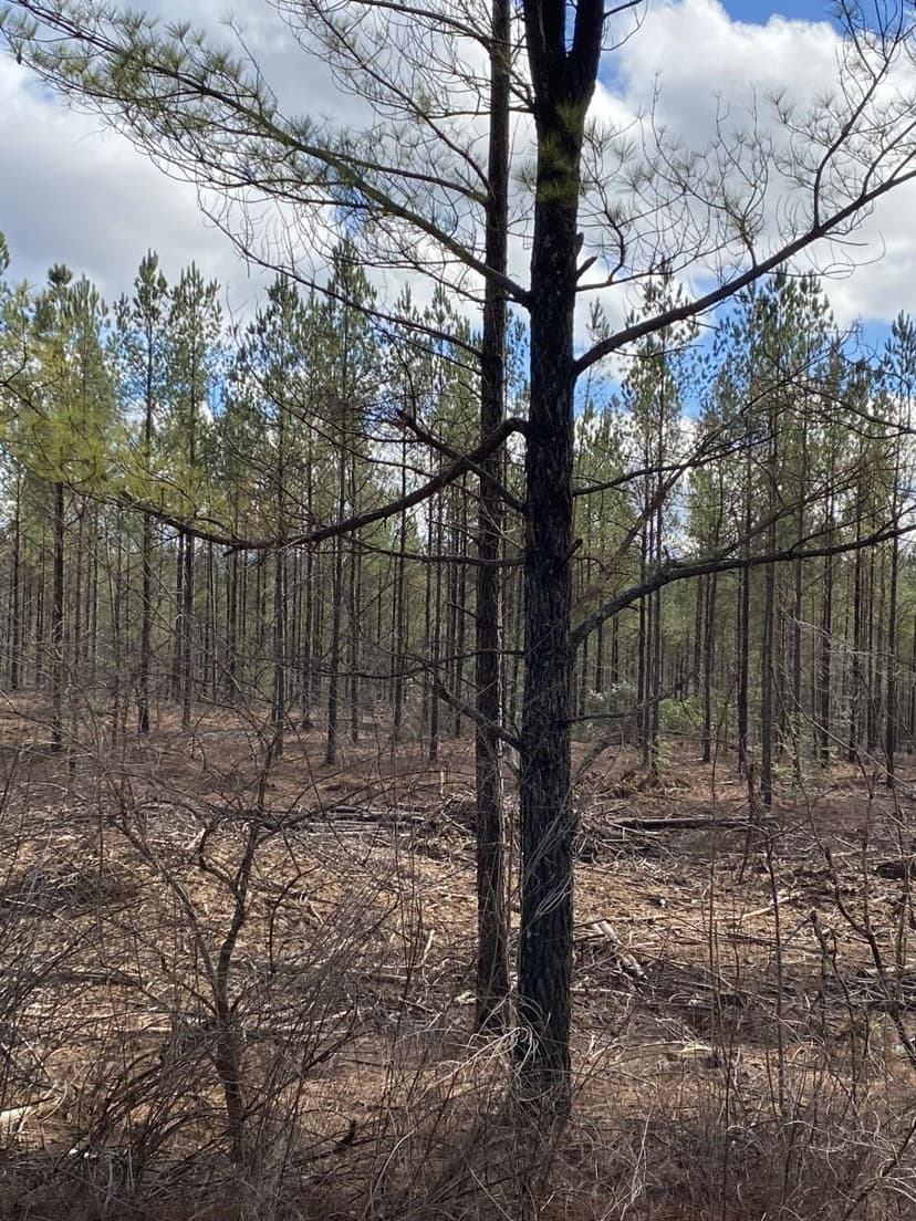 5.05+/-acres Near Fall Creek Falls