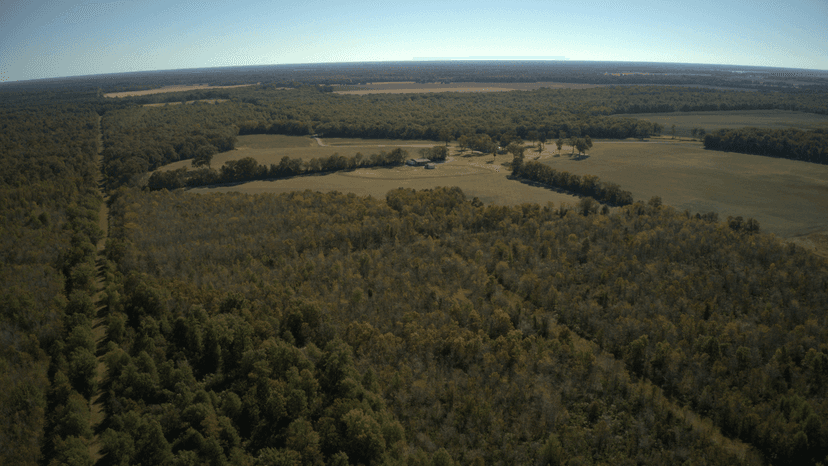 Mercer Ranch South - Lodge and 920 Acres High Fence Hunting