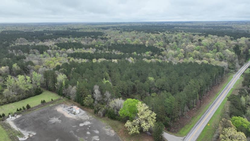 Longstreet Tract, DeSoto Parish, 304.4 Acres +/-