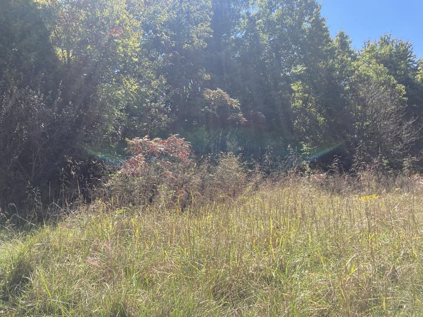 White Oak Circle Lots 58-60