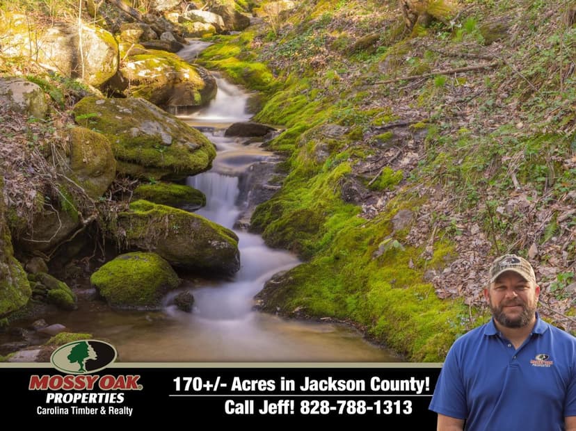 169+/- Acres - WATERFALL TRACT Bordering U.S. Forest Service!