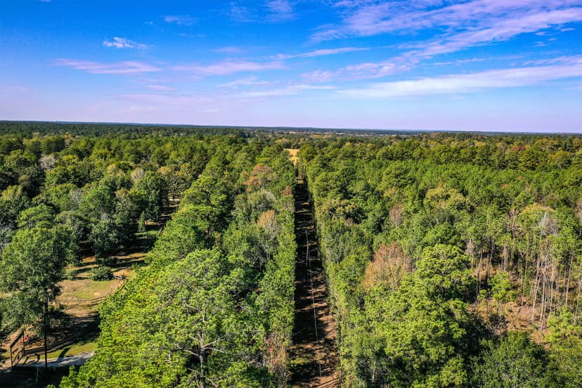 Tract 2 FM 405, Walker County, TX