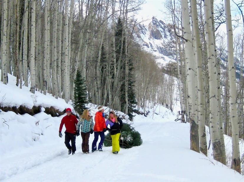 3078 Aspen Mountain Road