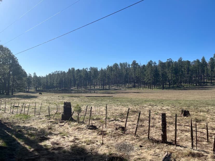 Arizona White Mountains 35 acre Lot