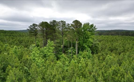 236.9 Acres in Attala County in West, MS