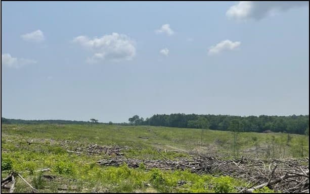 154.92 Acres in Grenada County in Coffeeville, MS