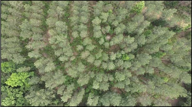 47.6 Acres in Attala County in Sallis, MS