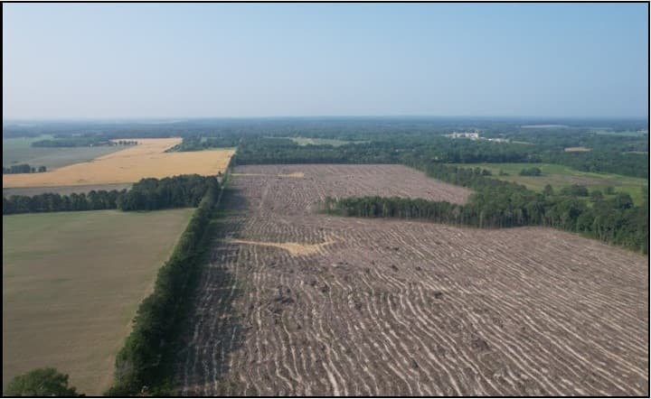 117.1 Acres in Scott County in Morton, MS