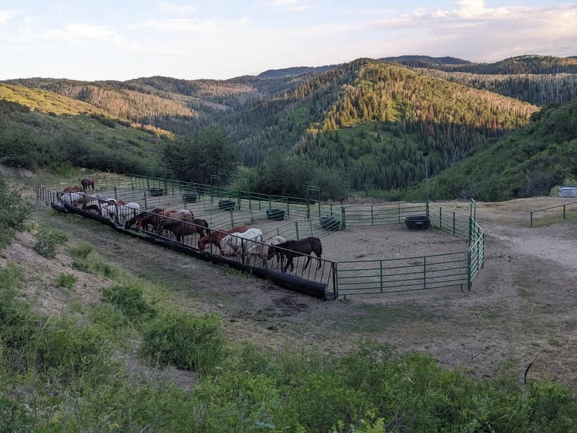 259 acres - Successful Outfitting Business - Bordering the White River National Forest