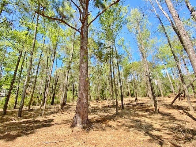 Residential Lot in Cedar Ridge | McComb, MS