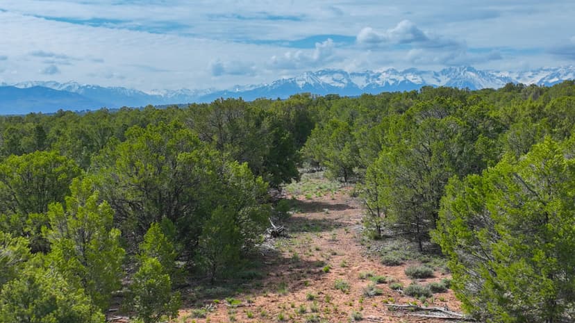 44 Acres In Ouray County