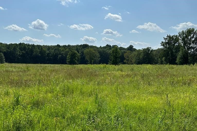 40 Acres in Lauderdale County in Meridian, MS