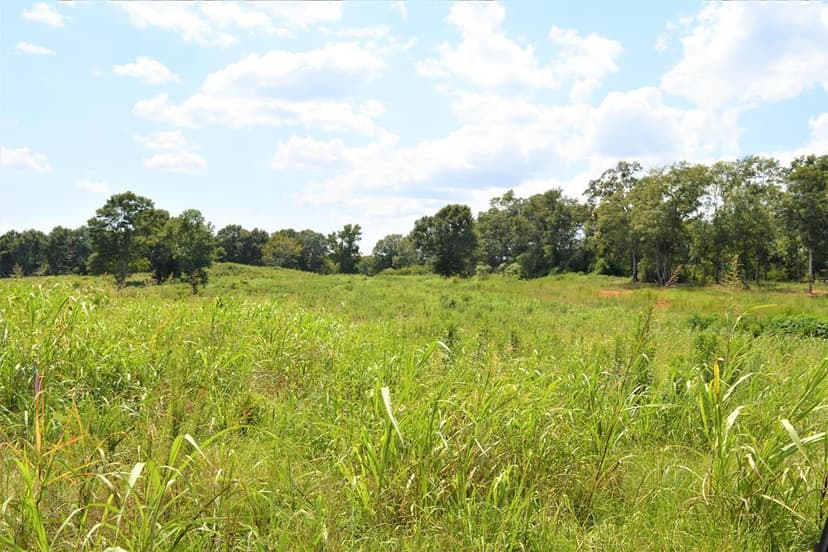 10 Acre Homesite for Sale near Golf Course Southwest MS