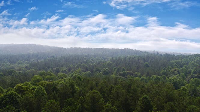 Banks County, Georgia Large Acreage Tract