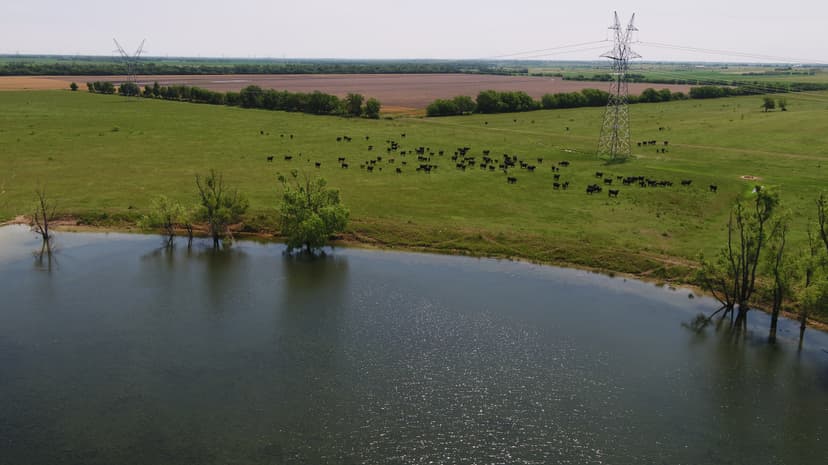 332 Acres in Milam County