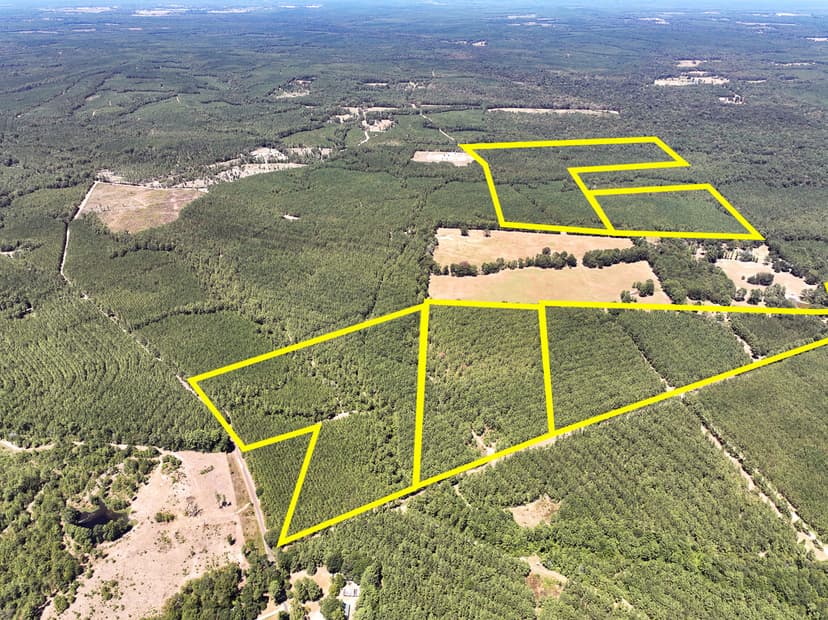 24 Acres | T-16 | Saron