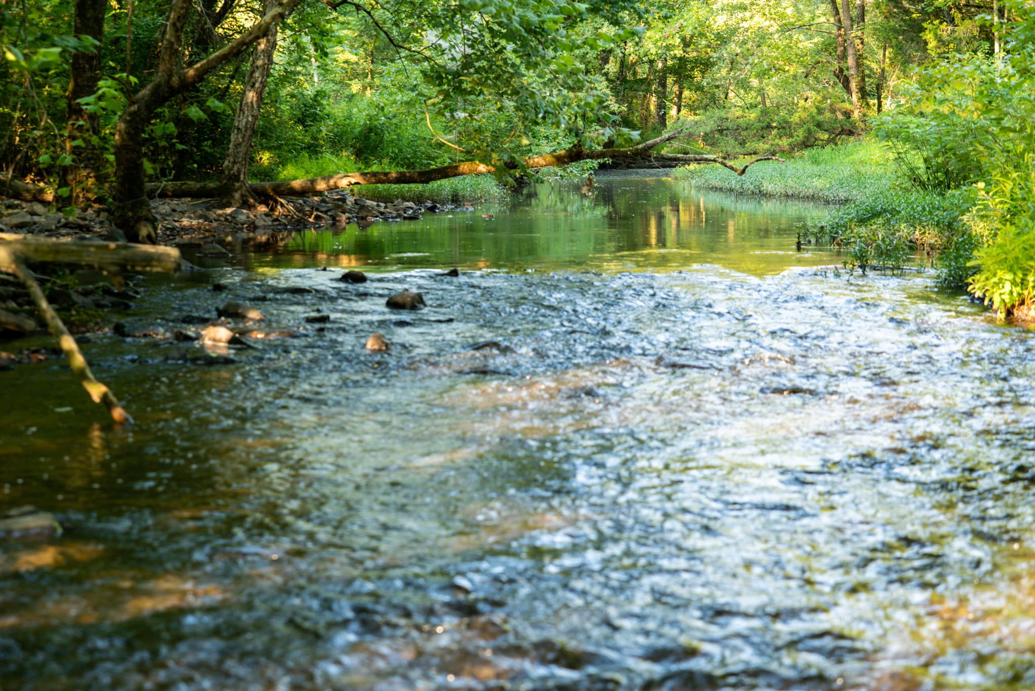 Hinkle Lake 215 - land for sale
