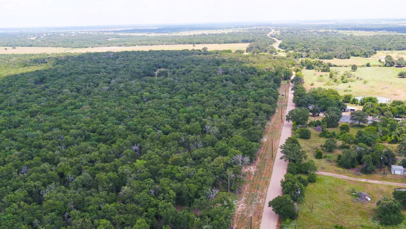 6 Acres in Milam County - Tract 4