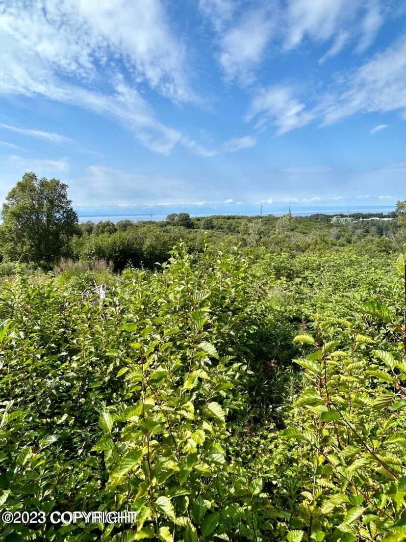 3.42 Acres of privacy in Nikiski....View Lot