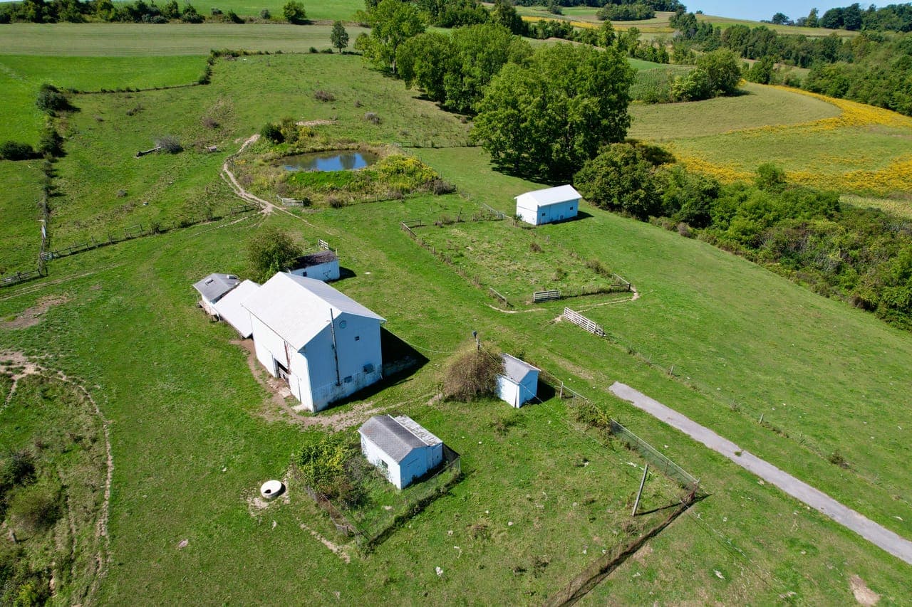 Parker Rd., Washington County - 96± Acres - Avella, Pennsylvania, 15312
