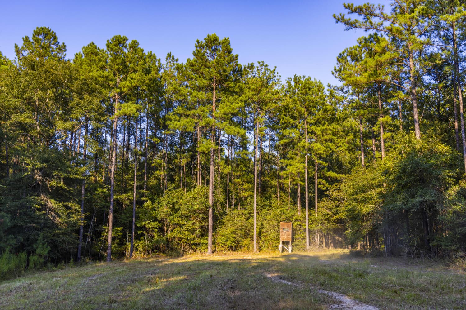 Prime Hunting Paradise with Luxury Lodge & Lakes in Deer Park, Alabama - photo 24