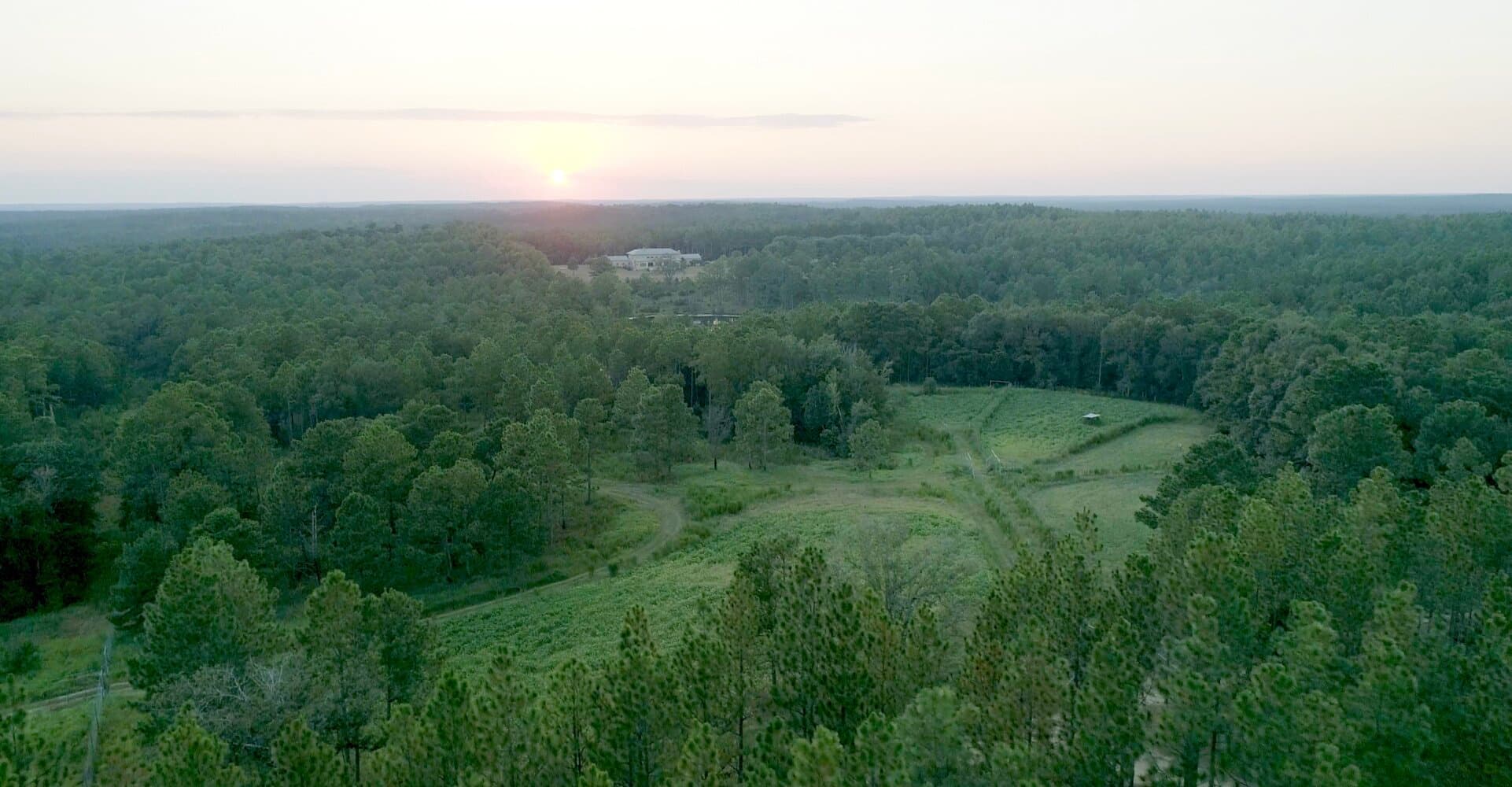 Prime Hunting Paradise with Luxury Lodge & Lakes in Deer Park, Alabama - photo 3