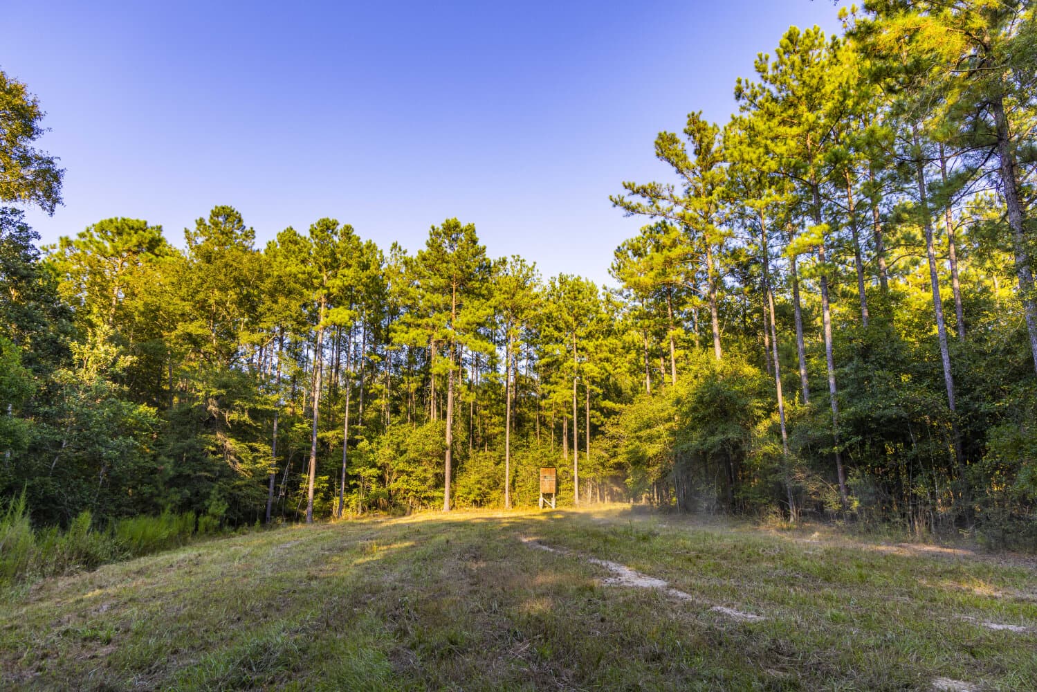 Prime Hunting Paradise with Luxury Lodge & Lakes in Deer Park, Alabama - photo 25