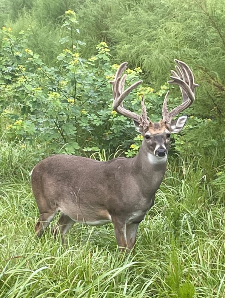 Prime Hunting Paradise with Luxury Lodge & Lakes in Deer Park, Alabama - photo 11