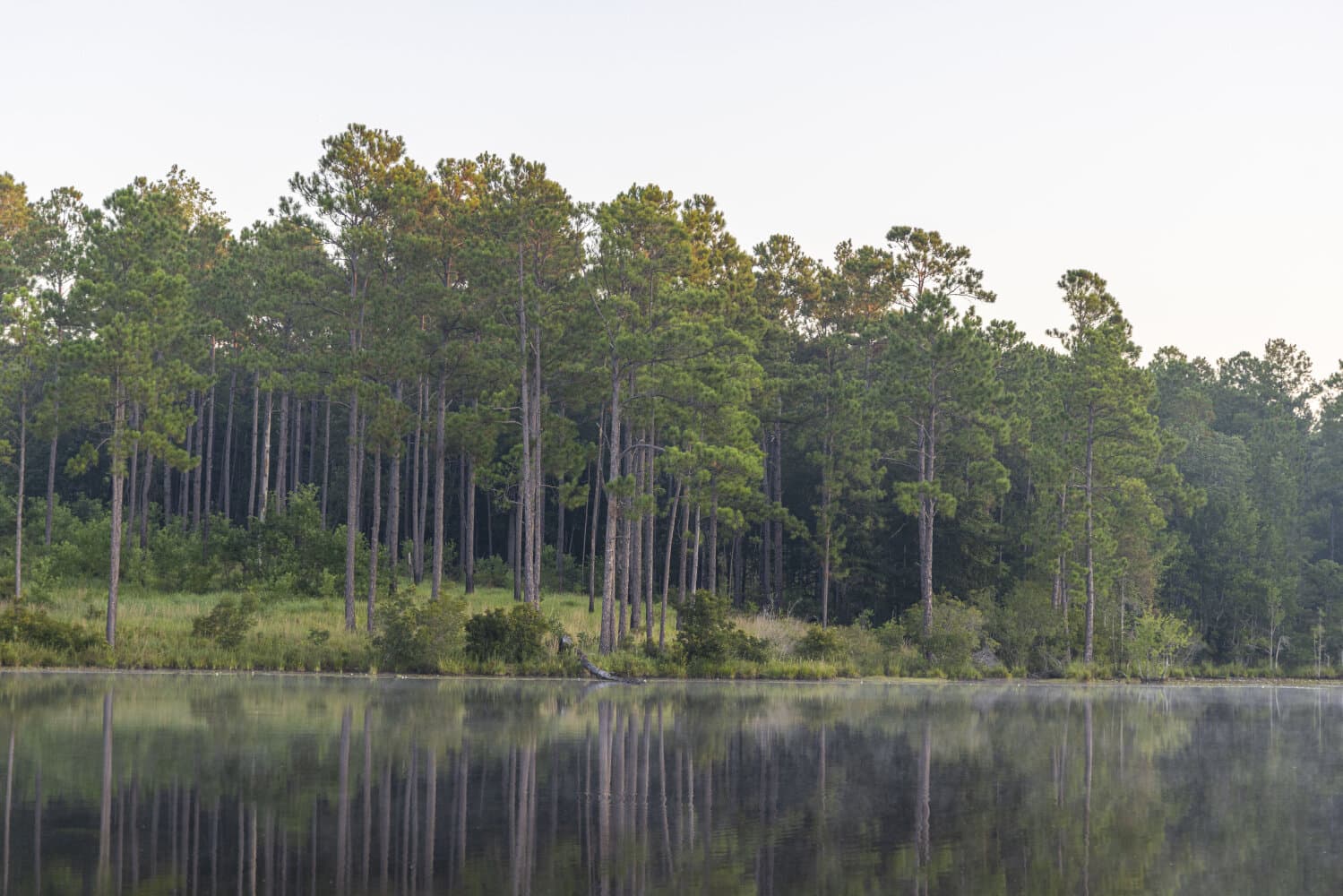 Prime Hunting Paradise with Luxury Lodge & Lakes in Deer Park, Alabama - photo 90