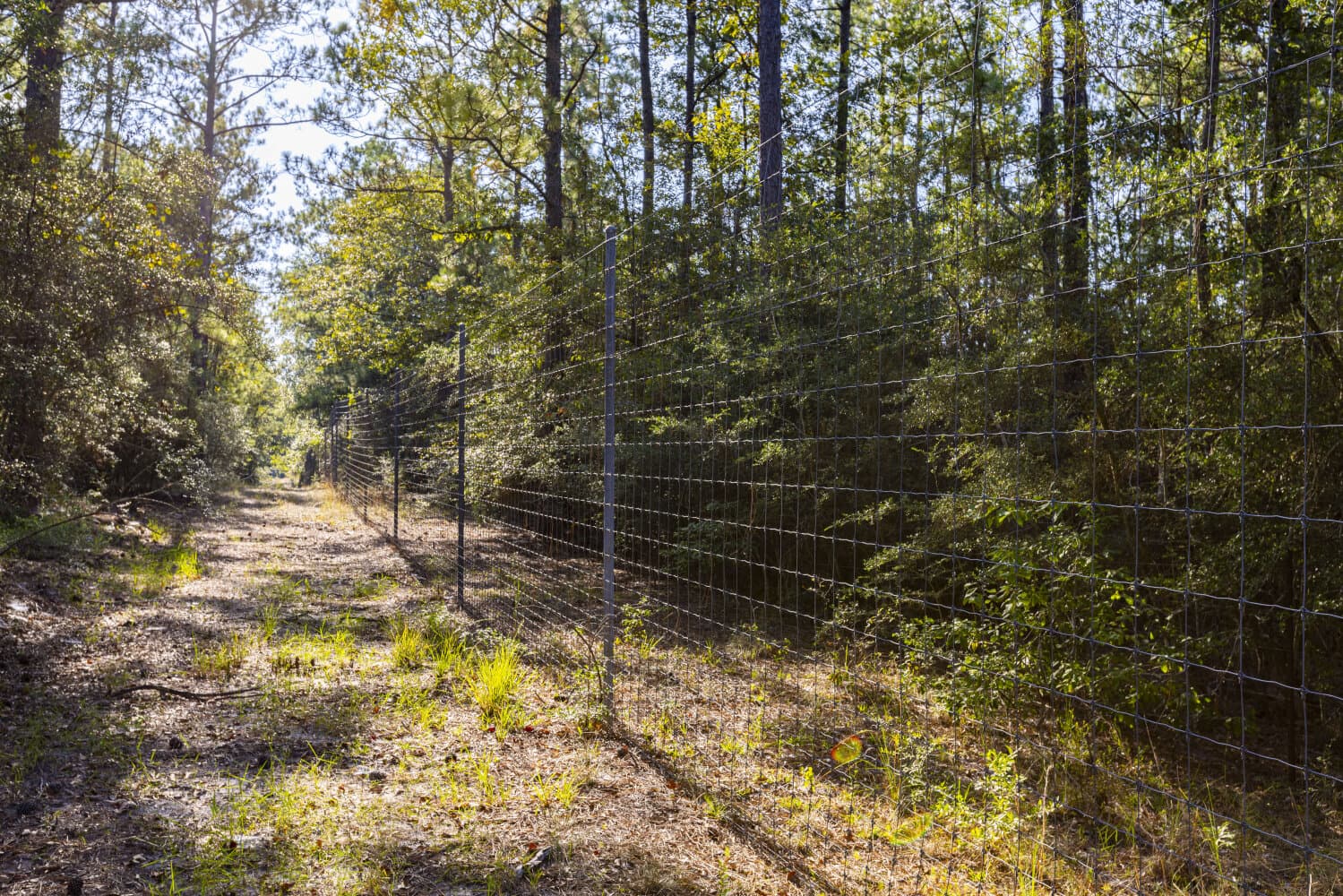 Prime Hunting Paradise with Luxury Lodge & Lakes in Deer Park, Alabama - photo 74