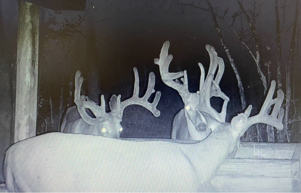Prime Hunting Paradise with Luxury Lodge & Lakes in Deer Park, Alabama - photo 8