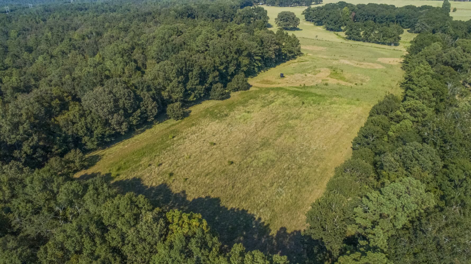 Prime Hunting Paradise with Luxury Lodge & Lakes in Deer Park, Alabama - photo 97