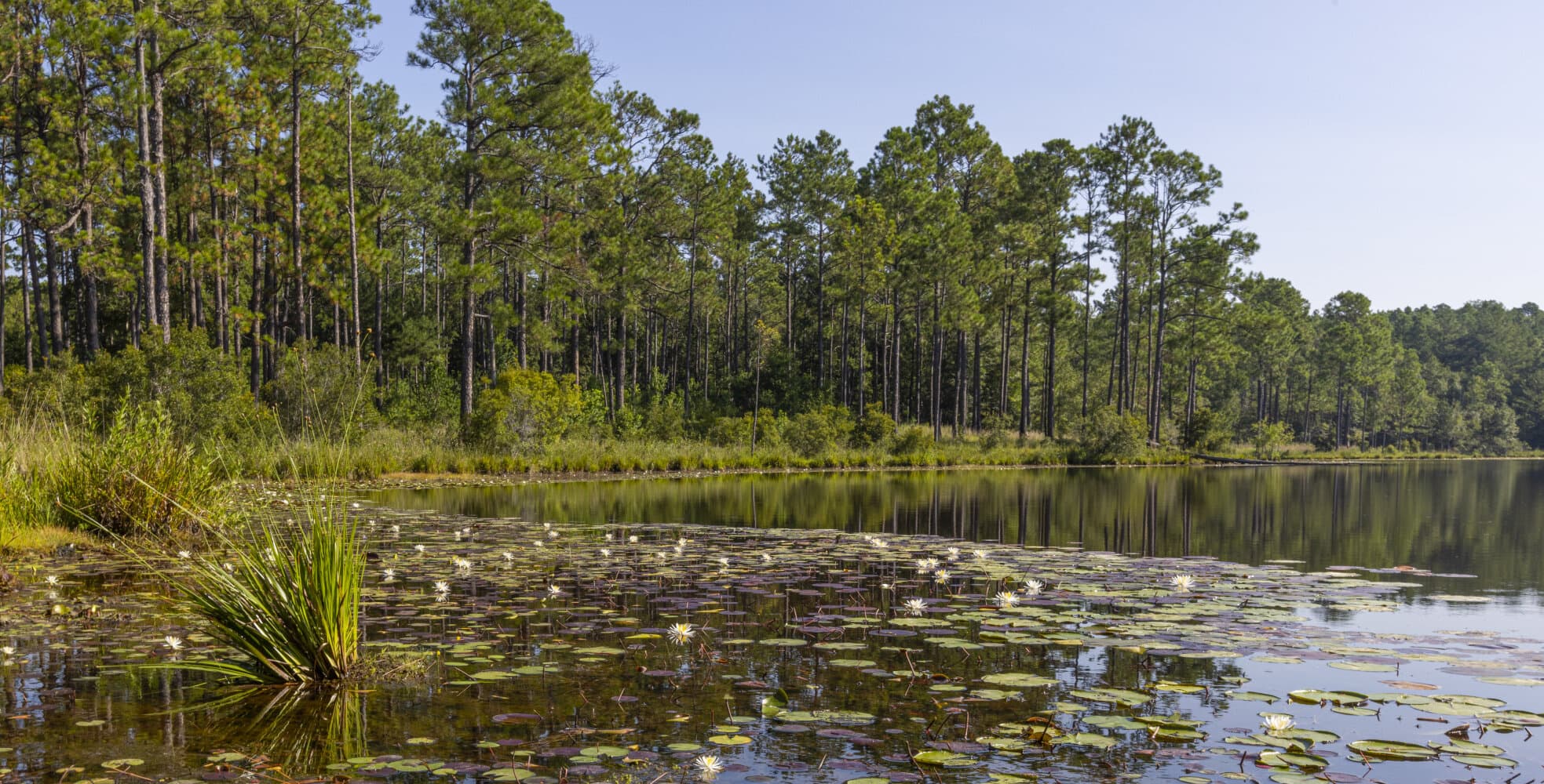 Prime Hunting Paradise with Luxury Lodge & Lakes in Deer Park, Alabama - photo 57