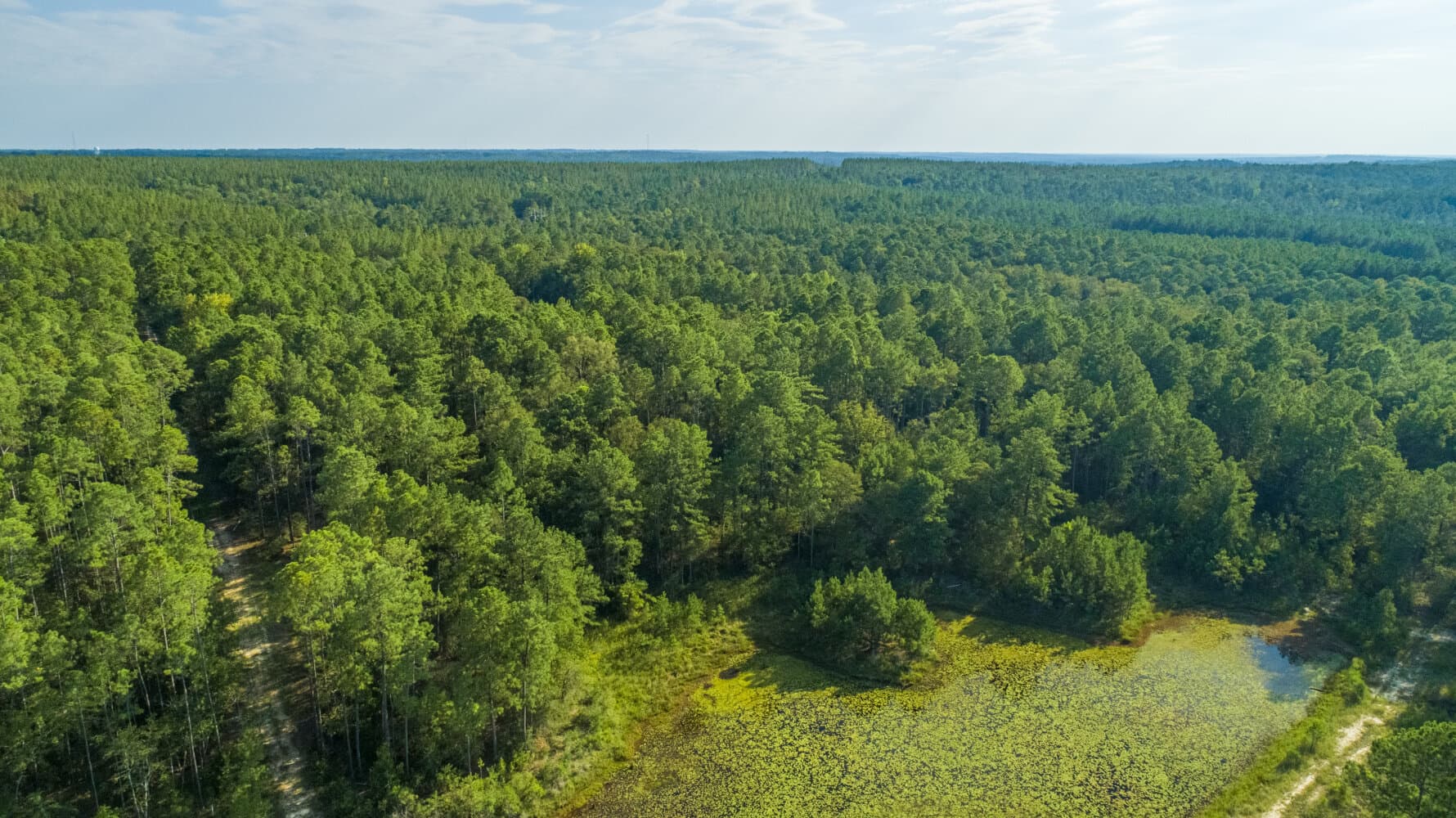 Prime Hunting Paradise with Luxury Lodge & Lakes in Deer Park, Alabama - photo 95