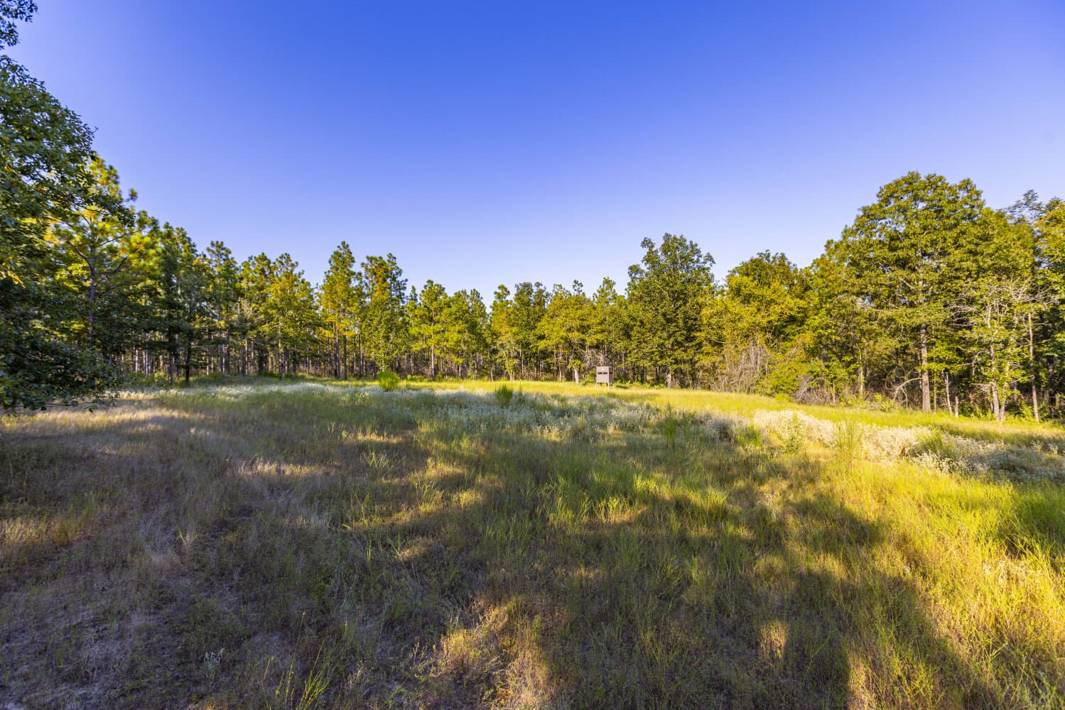 Prime Hunting Paradise with Luxury Lodge & Lakes in Deer Park, Alabama - photo 70