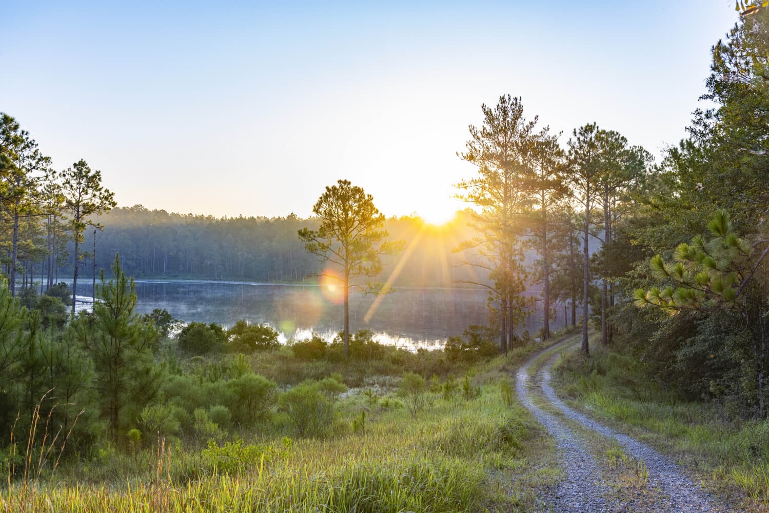 Prime Hunting Paradise with Luxury Lodge & Lakes in Deer Park, Alabama - photo 89