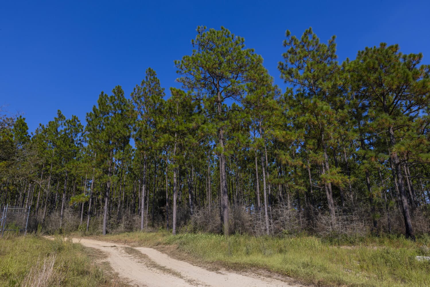 Prime Hunting Paradise with Luxury Lodge & Lakes in Deer Park, Alabama - photo 78