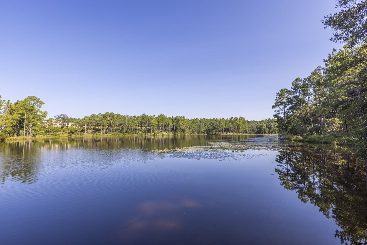 Prime Hunting Paradise with Luxury Lodge & Lakes in Deer Park, Alabama - photo 59