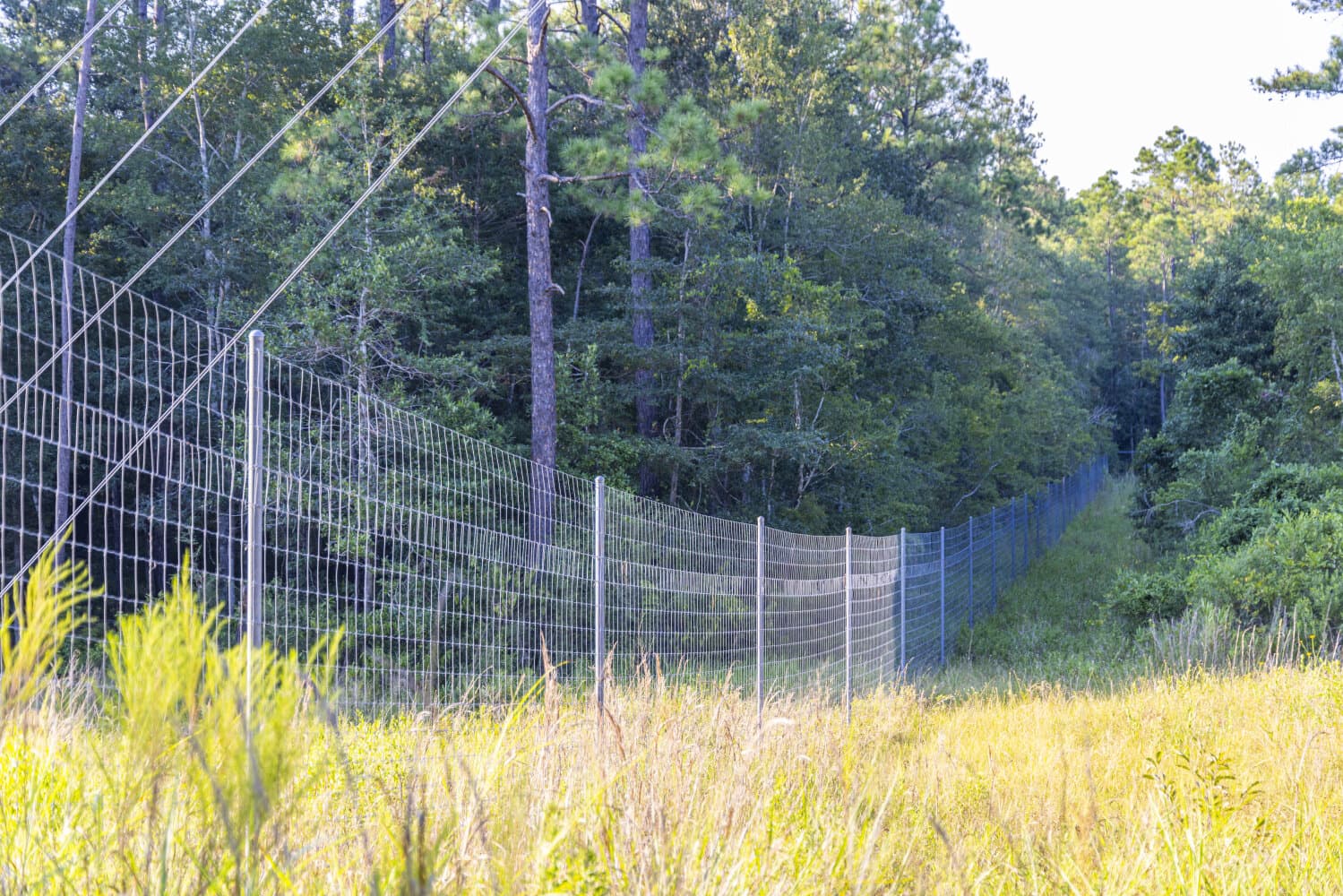 Prime Hunting Paradise with Luxury Lodge & Lakes in Deer Park, Alabama - photo 65