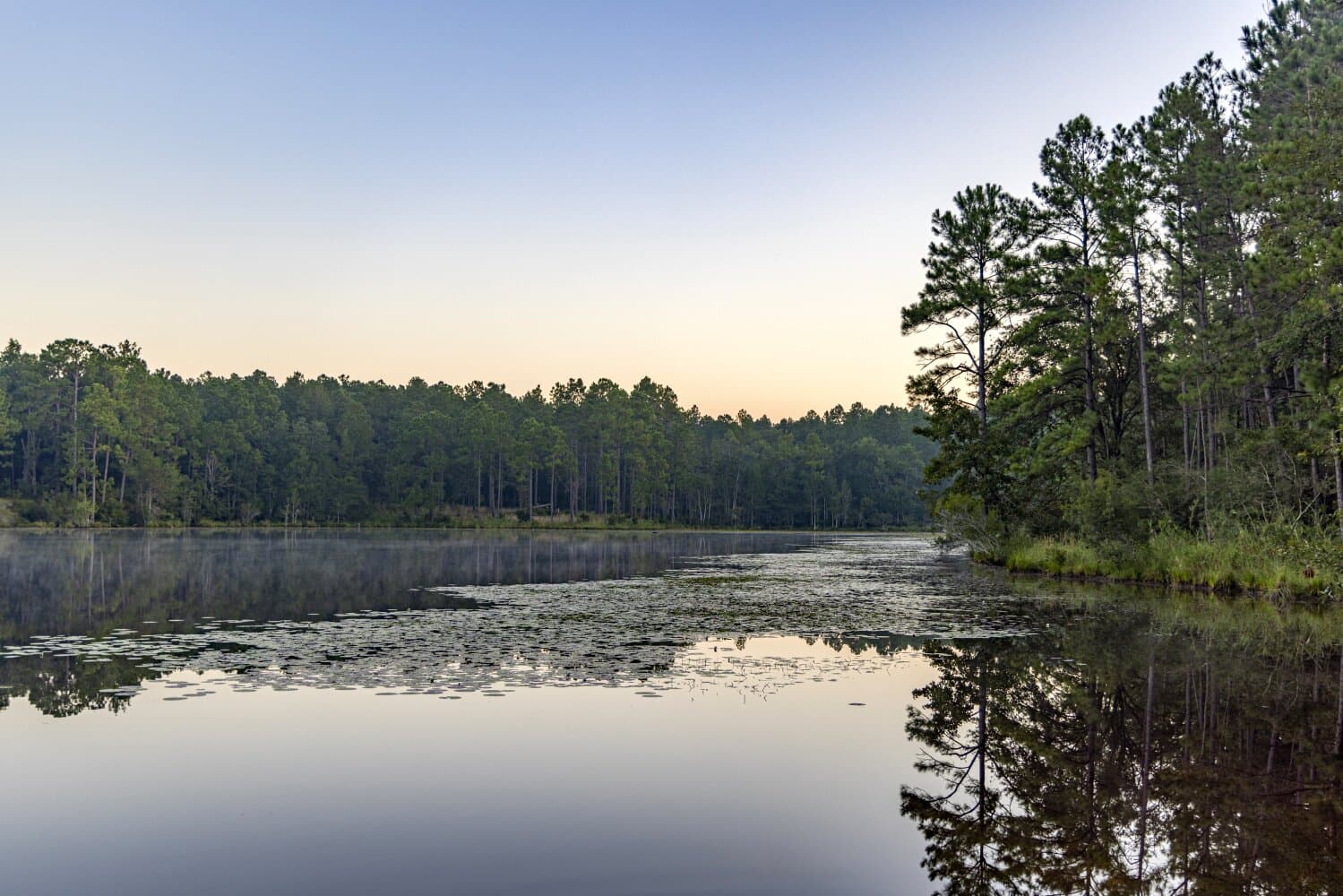 Prime Hunting Paradise with Luxury Lodge & Lakes in Deer Park, Alabama - photo 81