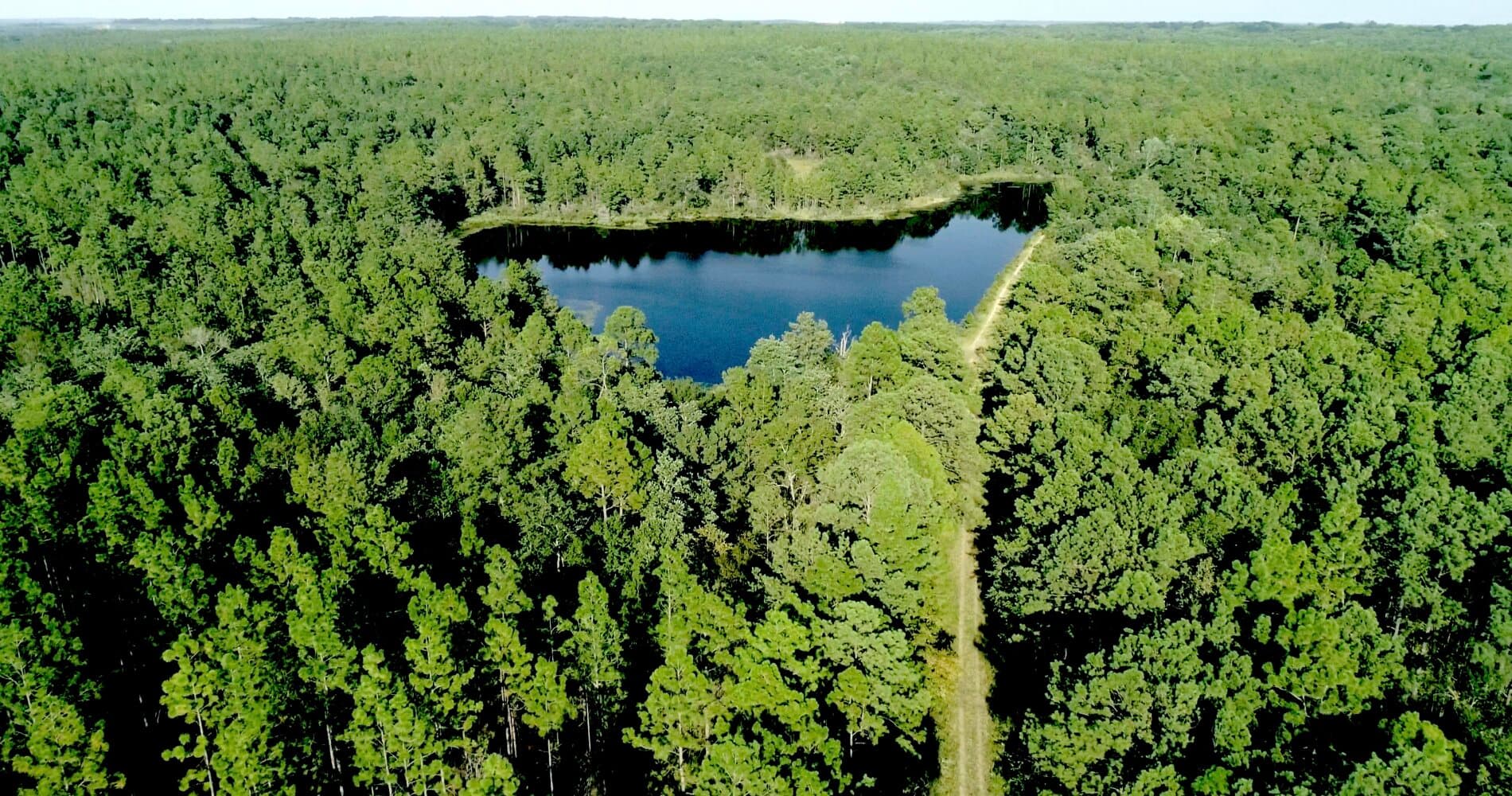 Prime Hunting Paradise with Luxury Lodge & Lakes in Deer Park, Alabama - photo 5