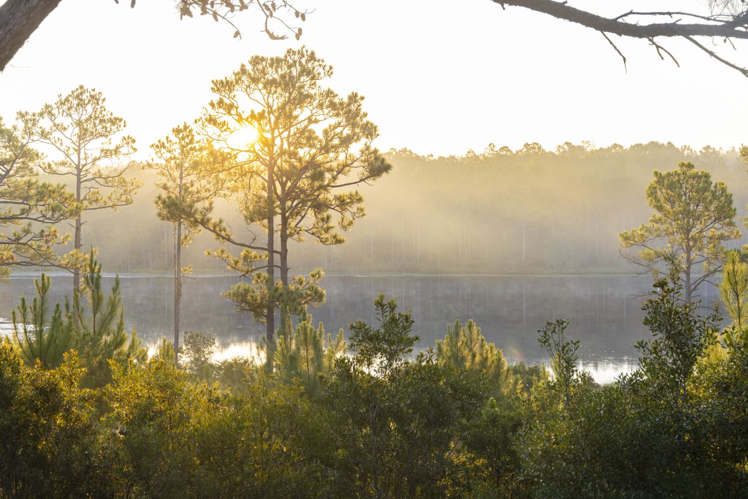 Prime Hunting Paradise with Luxury Lodge & Lakes in Deer Park, Alabama - photo 88