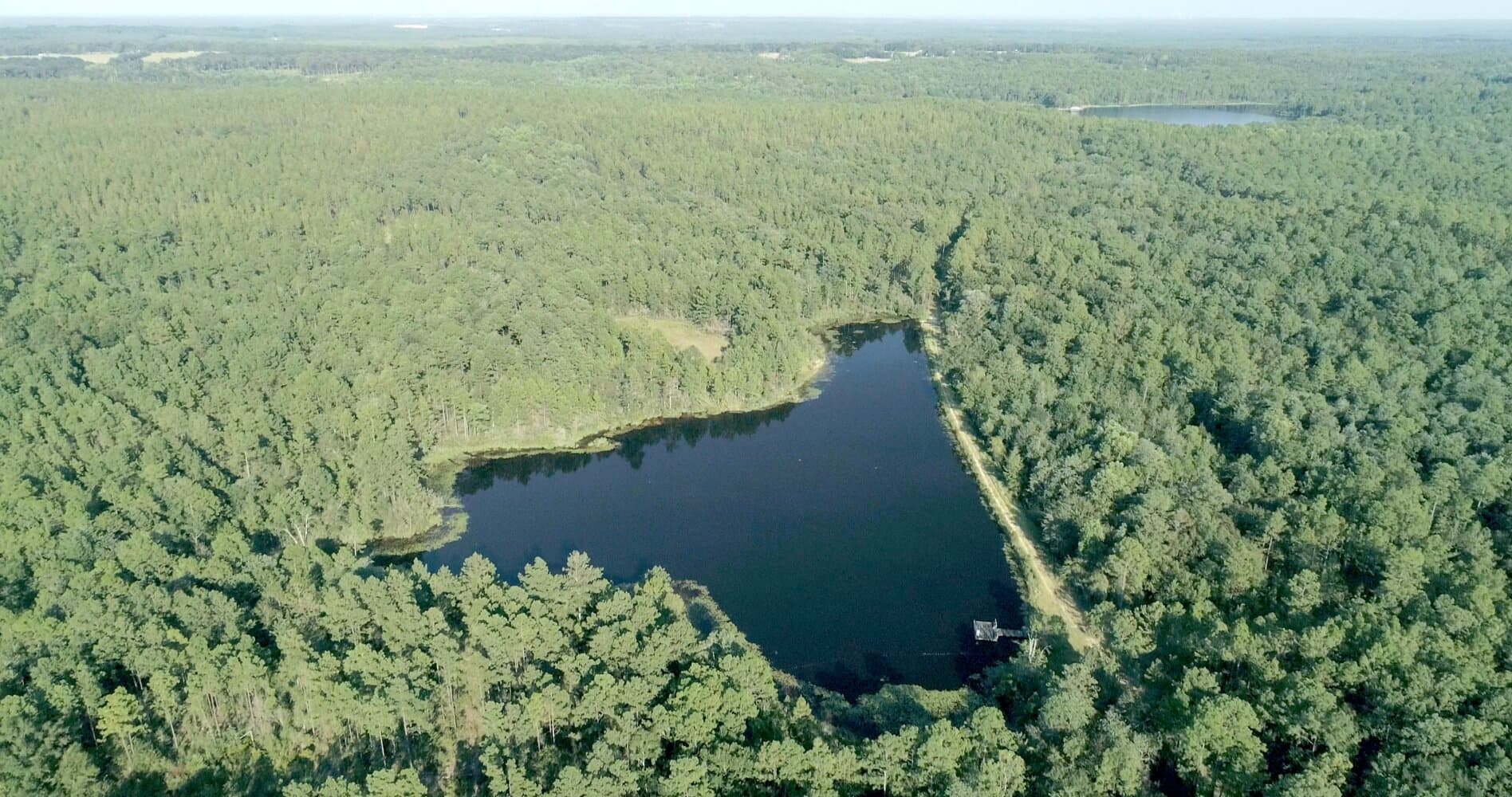 Prime Hunting Paradise with Luxury Lodge & Lakes in Deer Park, Alabama - photo 4
