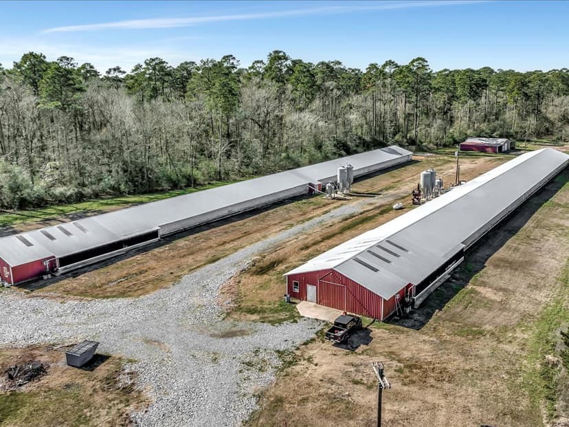 13033 FM 139 Shelbyville, TX 75973