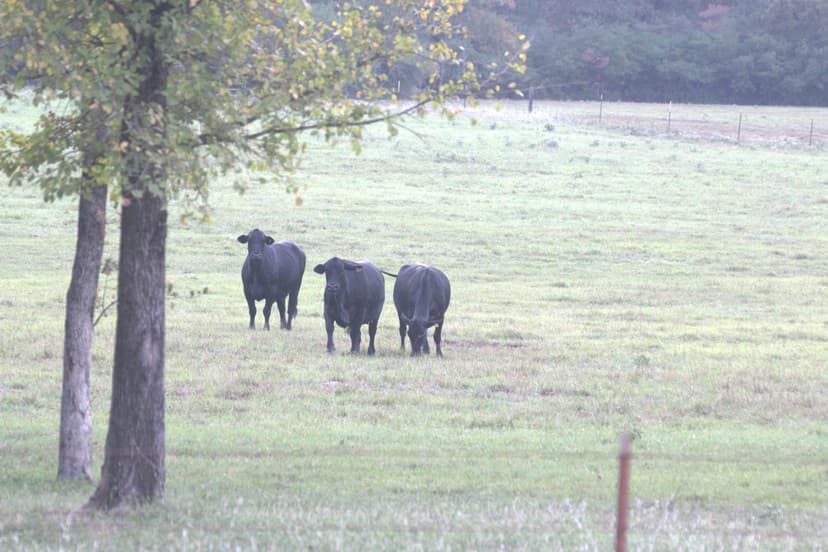 WILDWOOD RANCHES TRACT 3