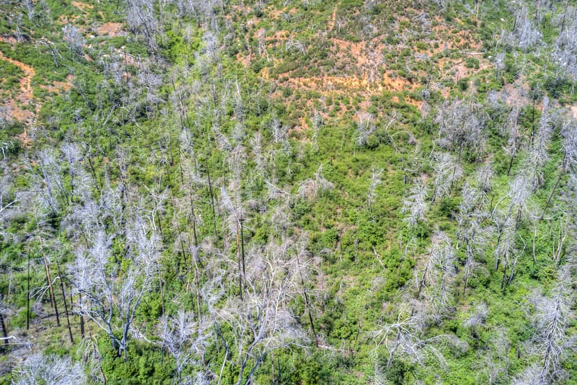 51 Acres Above Lake Oroville - Feather Falls, Ca