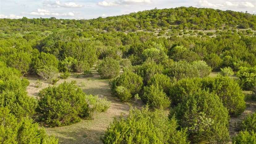 Rocky Point Ranch - 362 Acres